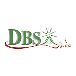DBS Radio 88.1 logo